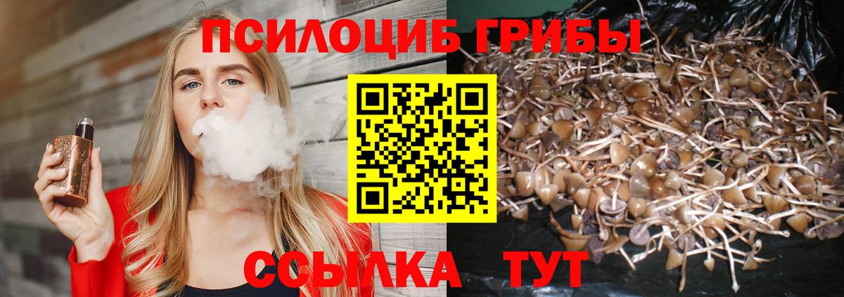 Псилоцибиновые грибы мицелий  Псилоцибиновые грибы GOLDEN TEACHER  Чебоксары  где продают наркотики  Вход с VPN 
